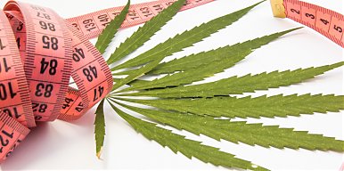 Jak działa CBD na odchudzanie?