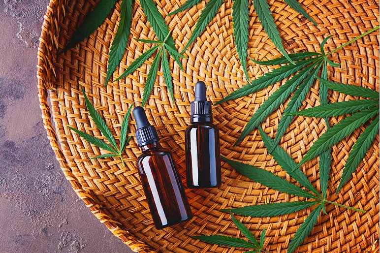 Czy warto stosować olejek CBD?