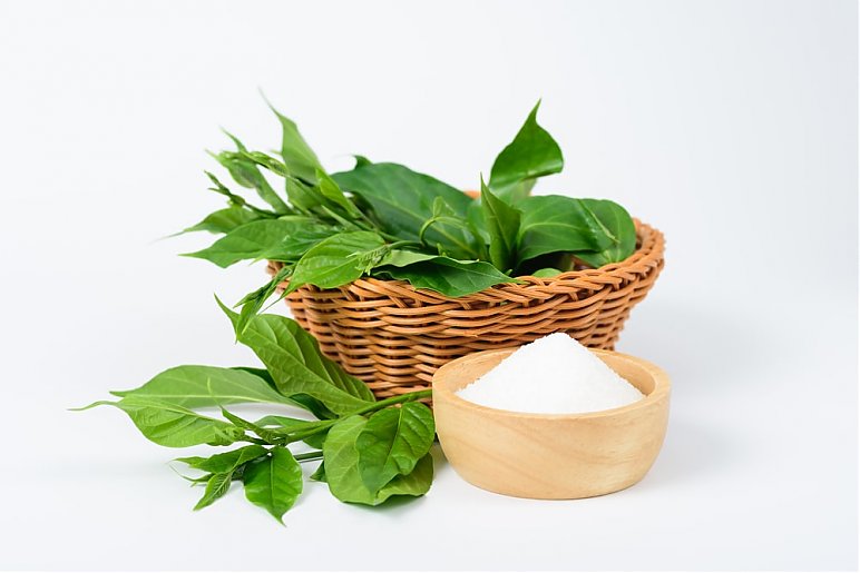 Gurmar na odchudzanie - opinie, efekty, skutki uboczne