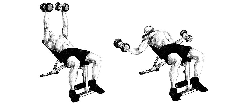 Rozpiętki ze sztangielkami na ławce skośnej w górę