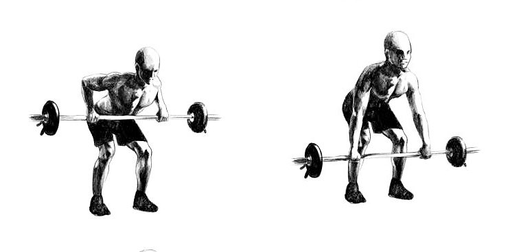 Wiosłowanie sztangą w opadzie tułowia