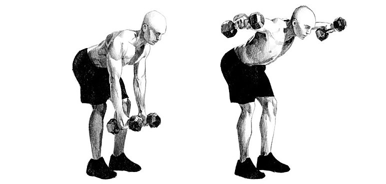 Unoszenie sztangielek bokiem w opadzie tułowia