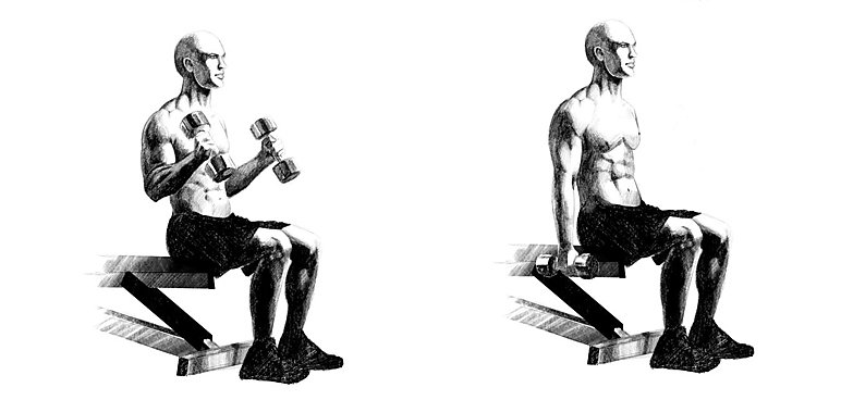 Uginanie przedramion ze sztangielkami w chwycie młotkowym