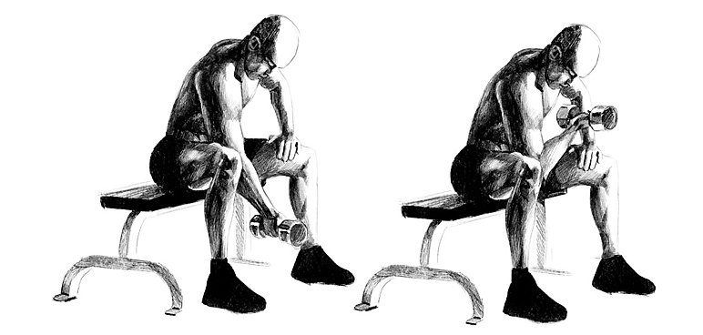 Uginanie przedramienia ze sztangielką w oparciu o kolano