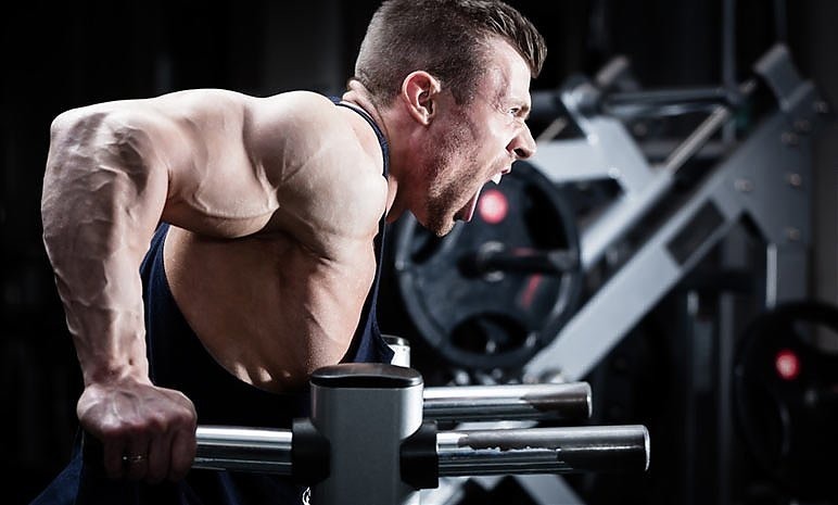 Fakty i mity o kreatynie, rodzaje i wskazówki stosowania