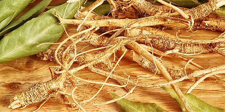 Ashwagandha - poznaj jej niezwykłe właściwości